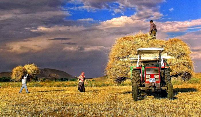 Kooperatif ve ortaklarının borçları yapılandırılacak
