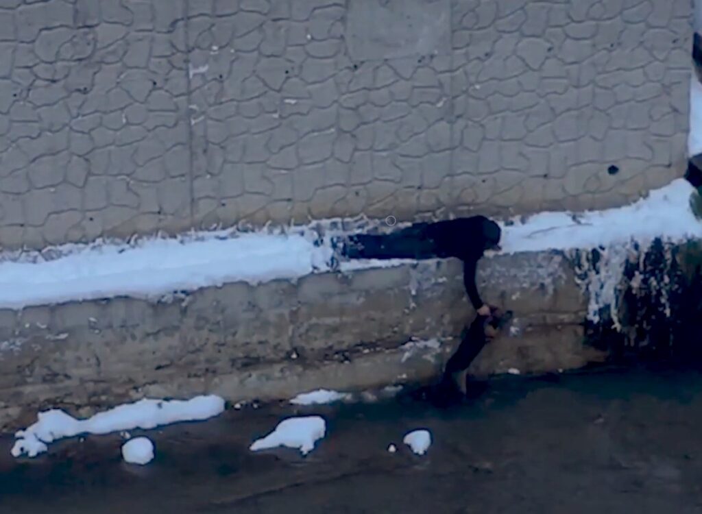 Sokak köpeğini kurtarmak için donmayı göze aldı