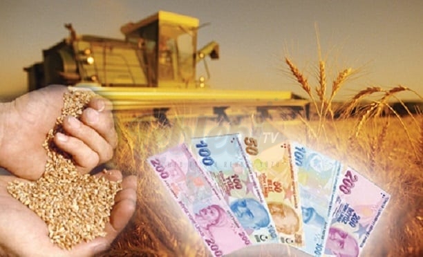 Tarımsal hibe destekleri başladı