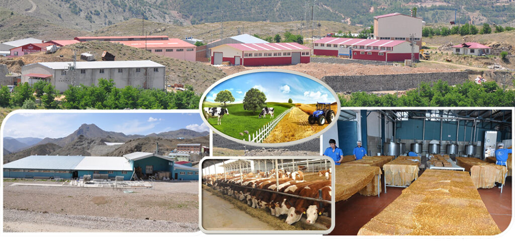 Kırsal Kalkınma Yatırımlarının Desteklenmesine Yönelik Hibe Başvuruları Devam Ediyor