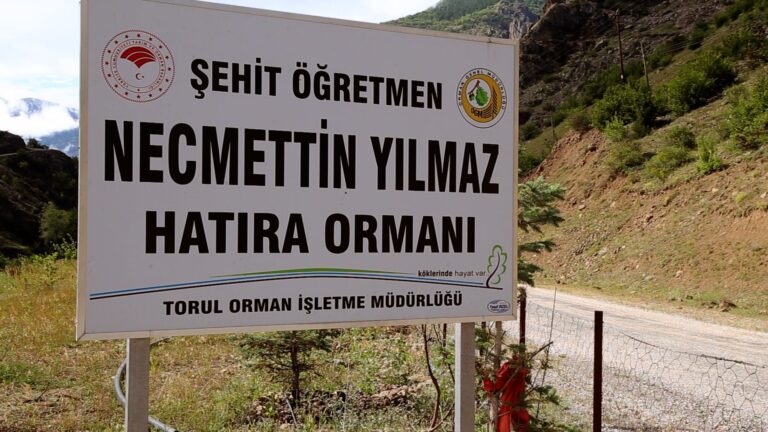 Şehit öğretmenin hatırası için orman oluşturuldu