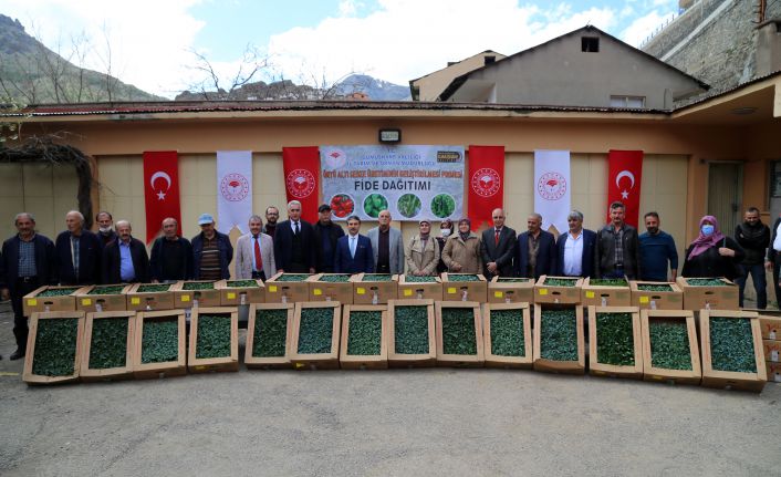 Gümüşhane’de üreticilere 150 bin sebze fidesi dağıtıldı