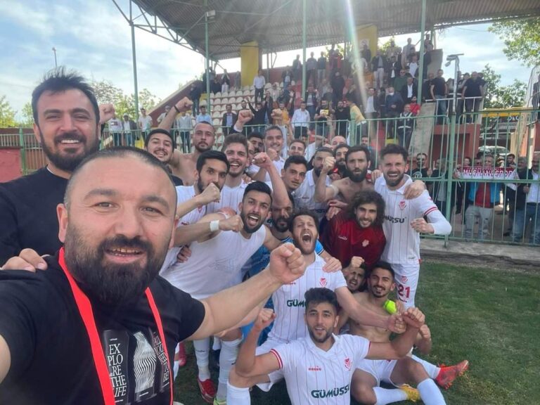Alemsin Gümüş