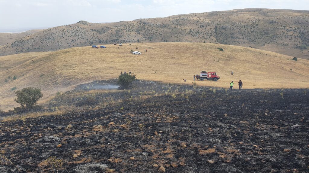 Gümüşhane’de çobanın yaktığı ateş nedeniyle 20 hektarlık arazi küle döndü