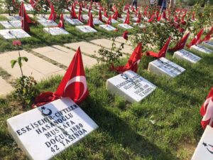 Dumlupınar İzlenimleri