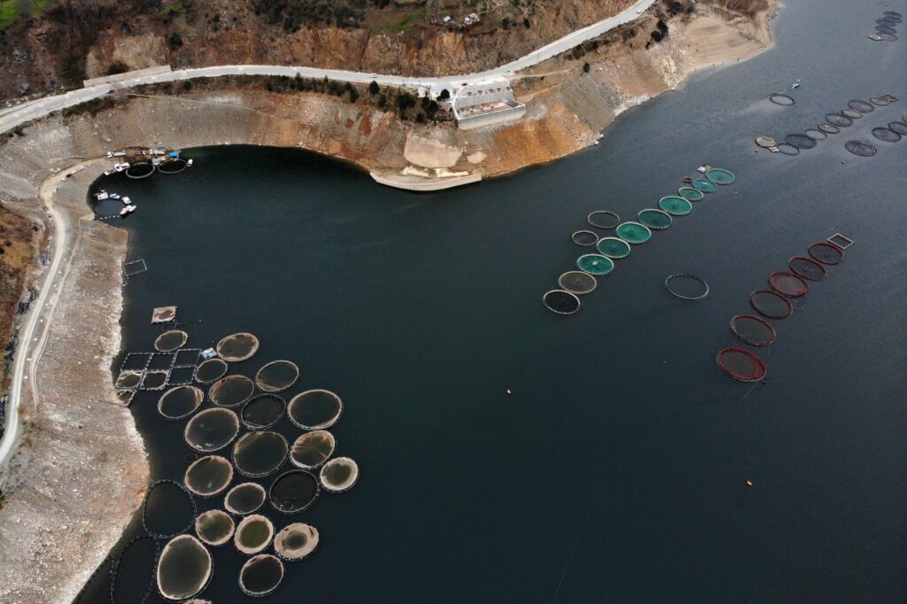 Denizi olmayan şehirden binlerce ton balık ihraç ediliyor