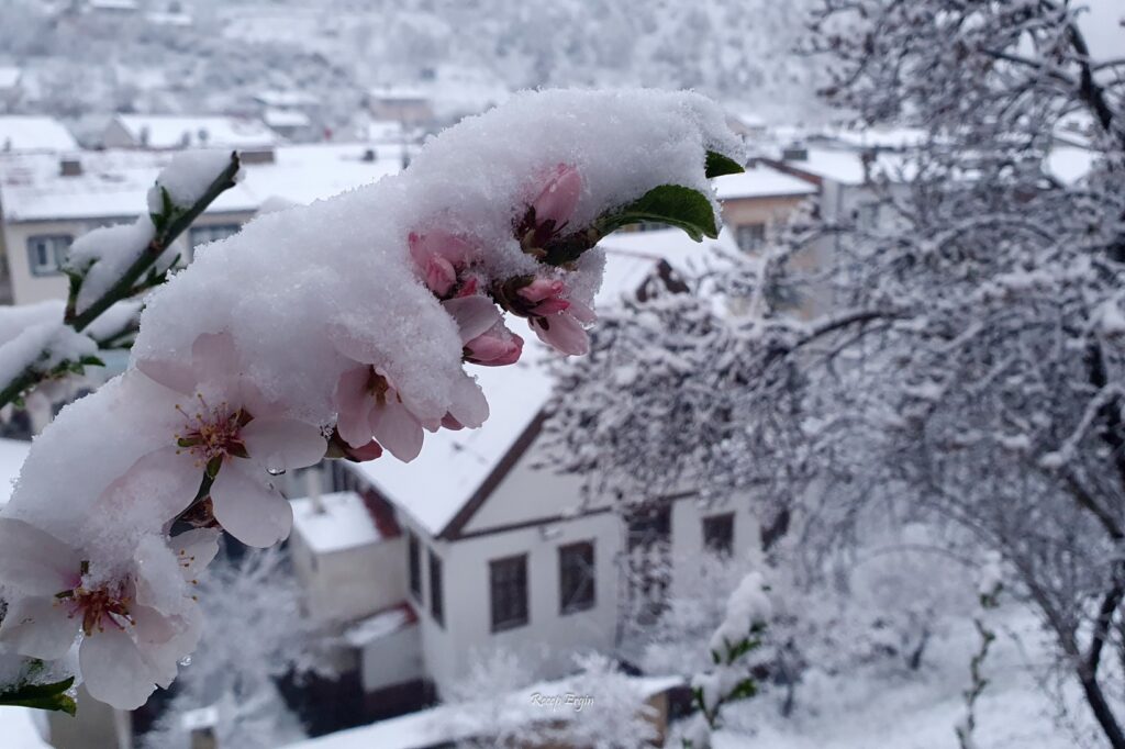 Gümüşhane’de kar yağışı etkili oluyor