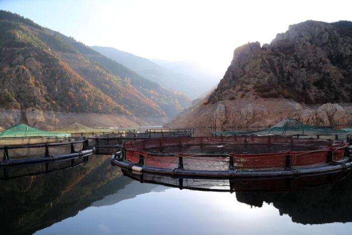 Karadeniz’in iki aylık su ürünleri ihracat rakamları belli oldu!