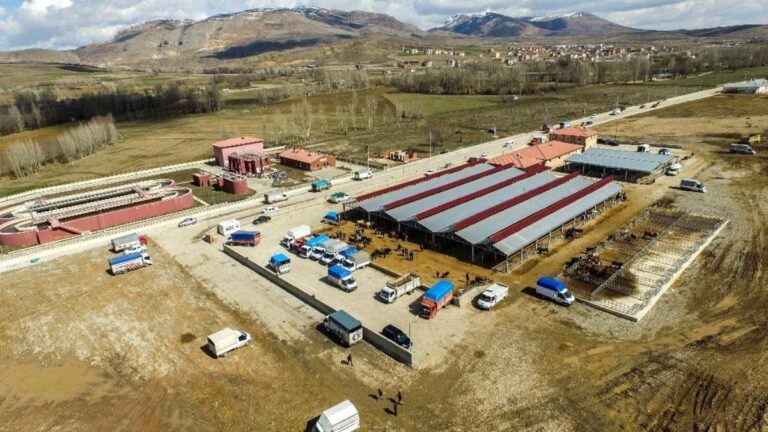 Kelkit hayvan pazarı açılıyor