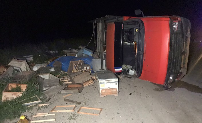 Arı yüklü pikap yan yattı, 60 arı telef oldu