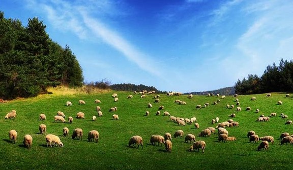 Mera Genelgesi yayımlandı