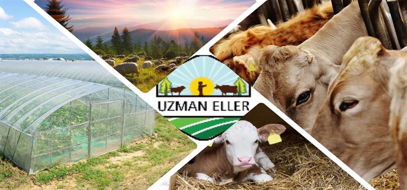 12 Proje Desteklenmeye Hak Kazandı