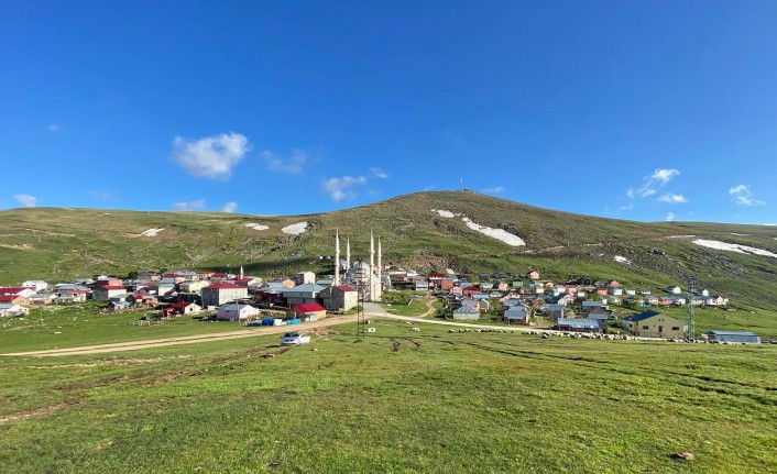 Yaylacılık kültürü tehdit altında