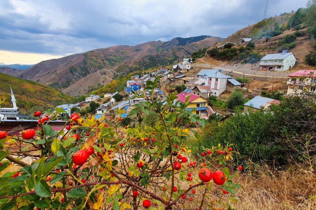 Sonbaharın büyüleyici renkleri Gümüşhane’yi sardı