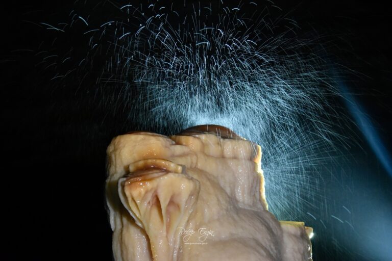 Gümüşhane’nin derinliklerinde gizemli yolculuk: Akçakale Mağarası