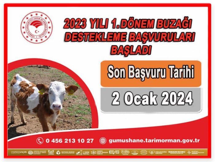 2023 yılı 1.Dönem Buzağı desteklemeleri başladı