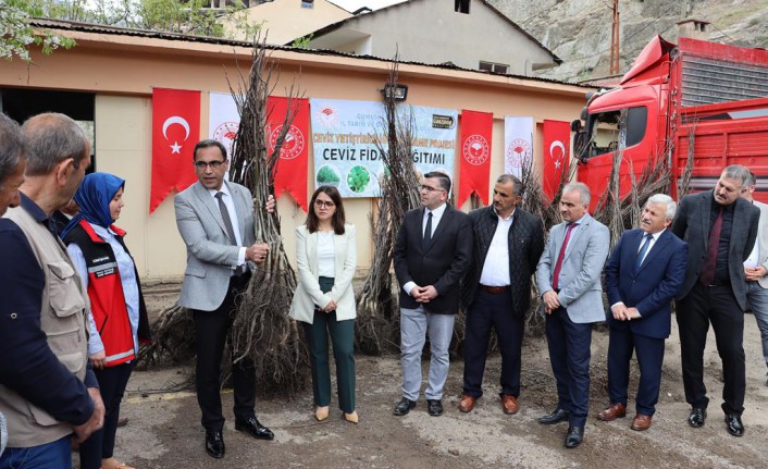 Gümüşhane’de üreticilere 11 bin 770 adet ceviz fidanı dağıtıldı