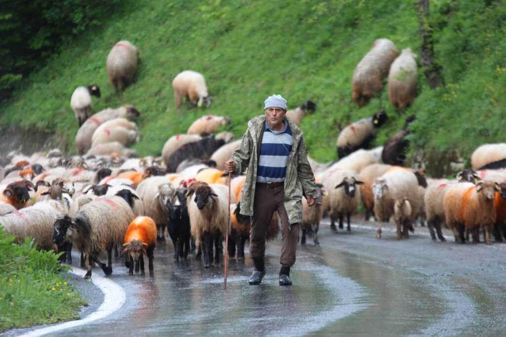 Yaylalara zorlu göç yolculuğu başladı
