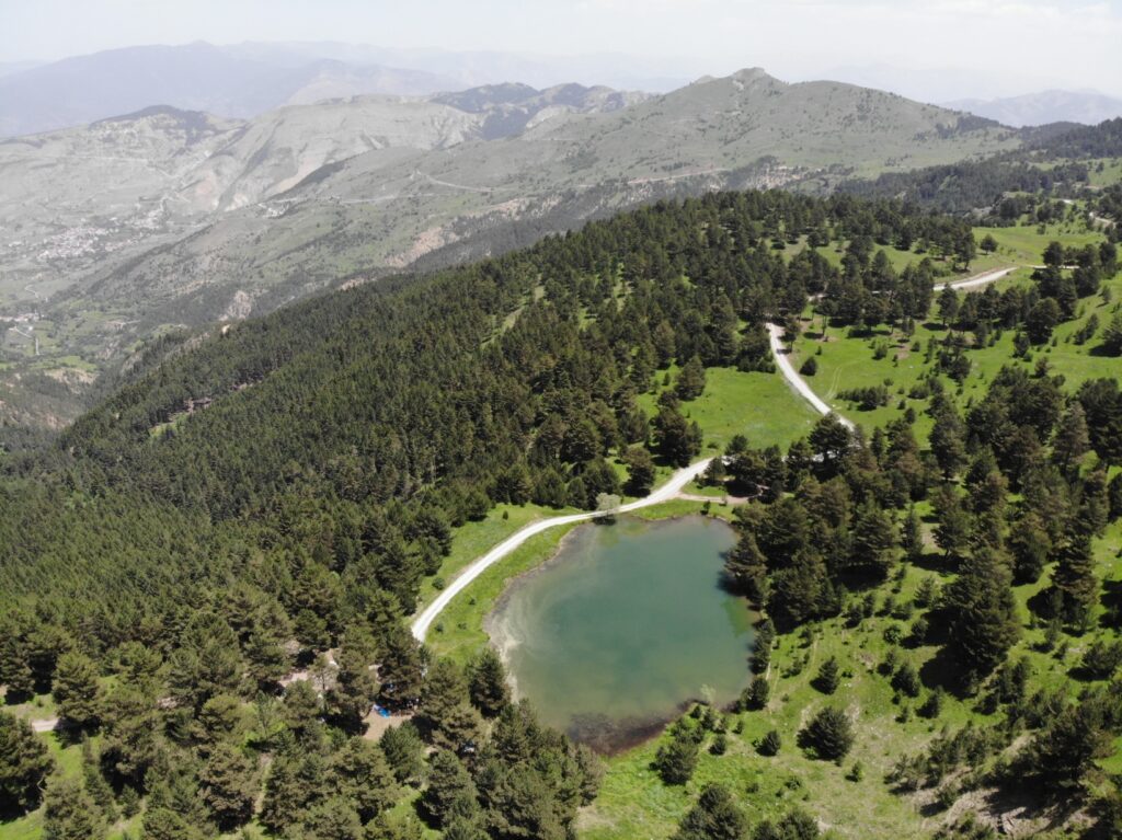 Altınpınar Limni Gölü el değmemiş doğasıyla hayran bırakıyor