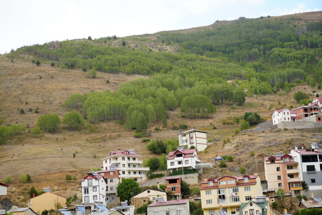 Emekli öğretmen diktiği 4 bin fidanla köyünü yeşillendirdi