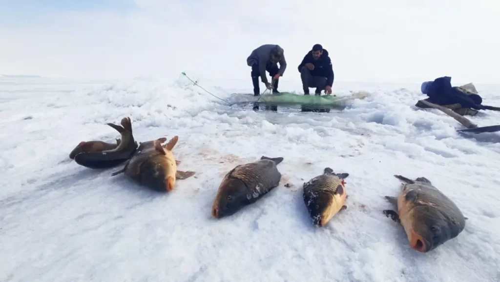 Gümüşhane’de Eskimo usulü balık avı