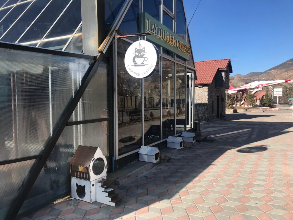 Gümüşhane’de bir ilk: pati dostu kafe