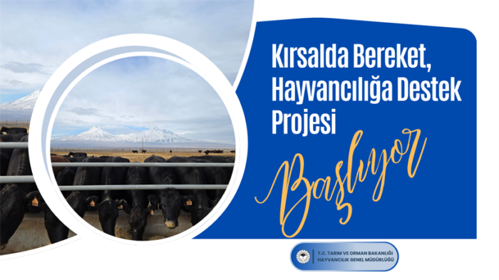 Kırsalda Bereket, Hayvancılığa Destek Projesi Başvuruları Başladı