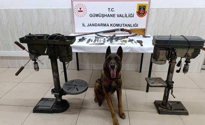 Kürtün’de ruhsatsız silah operasyonu