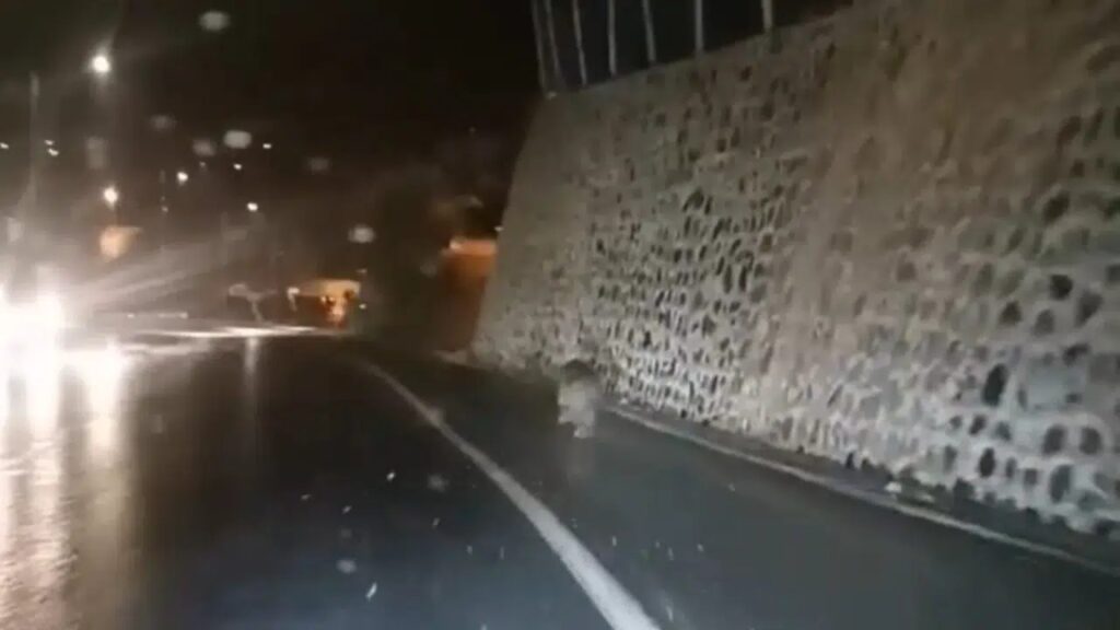 Gümüşhane’de hastane yolunda ayı görüntülendi