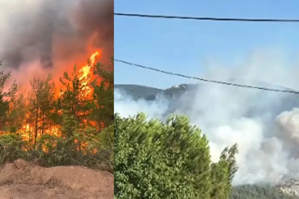 Gümüşhaneliler Geyve’de Alevlerle Mücadele Ediyor: “Bu Topraklar Hepimizin”