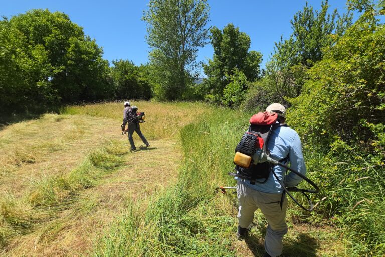 Gümüşhane’de ot biçme geleneği değişti, tırpanlar müzeye kalktı