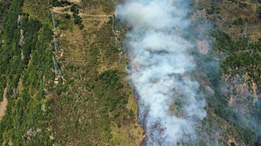 Gümüşhane’nin Kürtün ilçesindeki yangınla ilgili 1 kişi gözaltına alındı