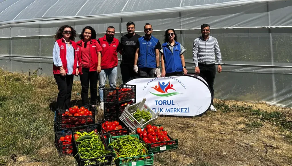 Gümüşhane’de seralarda Gönüllü Hasat yapıldı