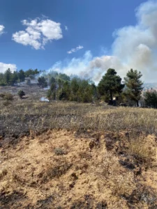 Torul’da Orman Yangını: 1 Hektarlık Alan Zarar Gördü