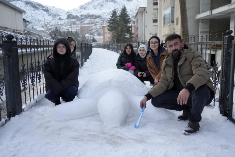 Gümüşhane’de “kardan kaplumbağa” ilgi odağı oldu