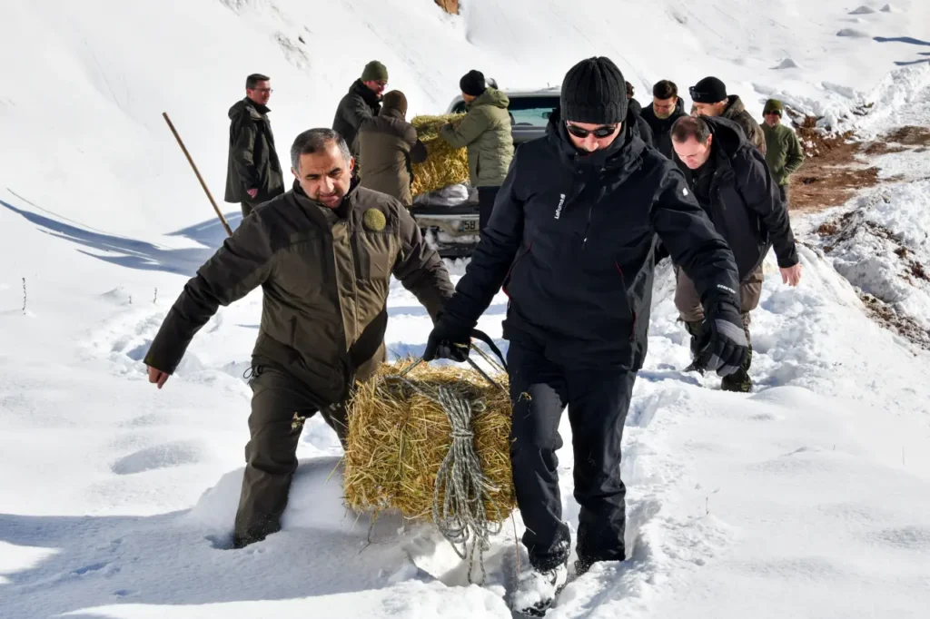 Gümüşhane’de aç kalan yaban hayvanları için seferberlik