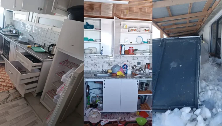 Kürtün yaylalarında ayı kabusu: Başkan Özer’den yetkililere acil çağrı