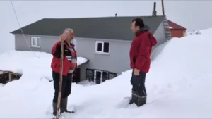 Torul’da Ayı Nöbeti: Kar Suyu İçerek Evini Bekliyor