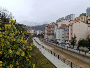 Şehir merkezinde yağmur, zirvelerde kar: Metrekareye 29 kg yağış düştü