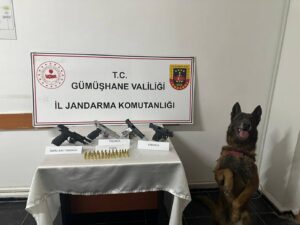 Jandarma’dan ruhsatsız silah operasyonu