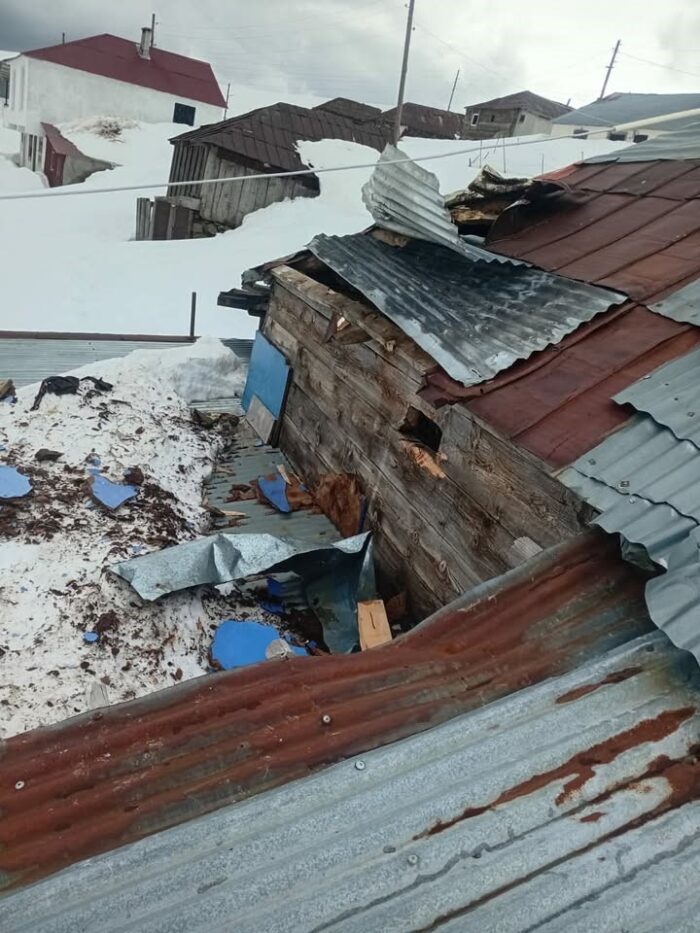 Gümüşhane yaylarında ayı dehşeti devam ediyor