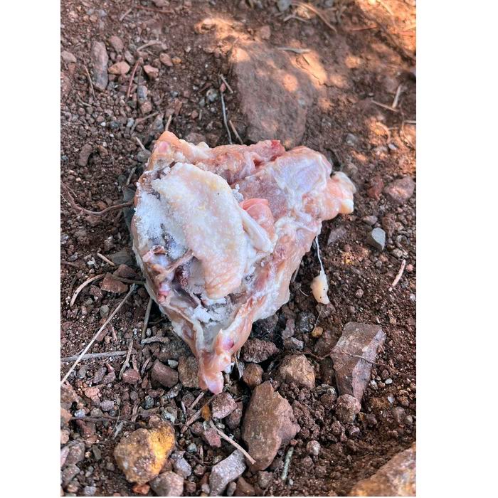 Gümüşhane’de Zehirli Et Alarmı: Hedefte Sokak Hayvanları Var!