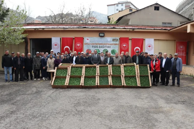 Gümüşhaneli çiftçiye yüzde 50 hibeli 200 bin fide