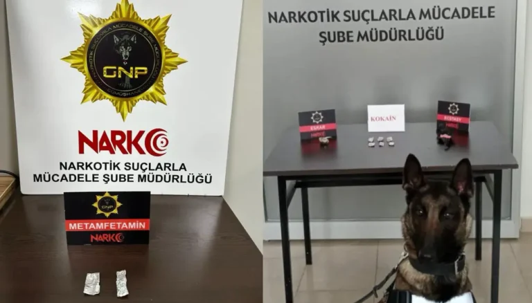 Gümüşhane’de yasa dışı bahis oynayan 52 kişiye dev ceza
