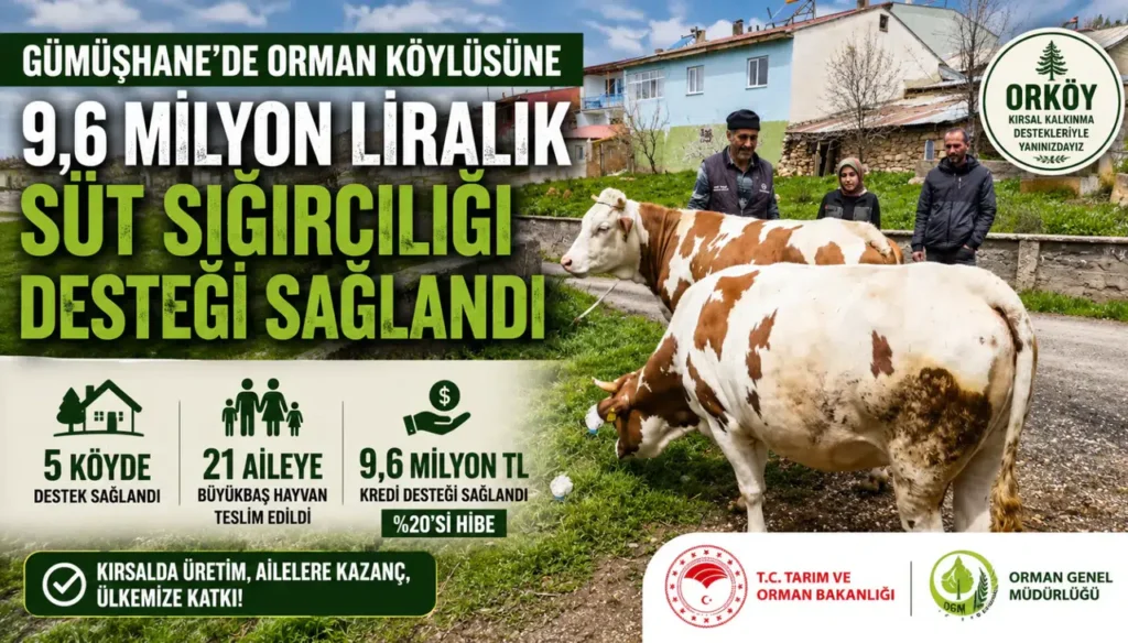 Gümüşhane’de orman köylüsüne 9,6 milyon liralık süt sığırcılığı desteği sağlandı