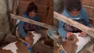 Kazıkbeli Yaylası’nda Gözyaşları Sel Oldu: Minik Nehir’in Acı Vedası Yürekleri Dağladı