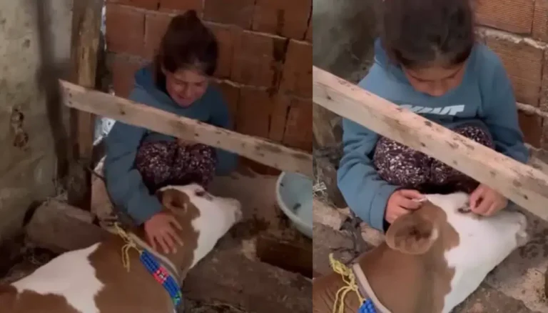 Kazıkbeli Yaylası’nda Gözyaşları Sel Oldu: Minik Nehir’in Acı Vedası Yürekleri Dağladı