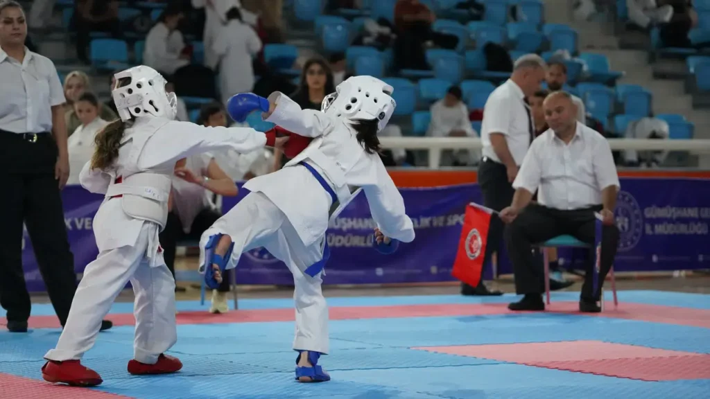 Gümüşhane’de İller Arası Karate Turnuvası Heyecanı Sona Erdi