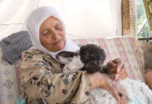 Torul’da Sıradışı Bir Sevgi Hikayesi: Boncuk Kuzu Ailenin Bir Ferdi Oldu